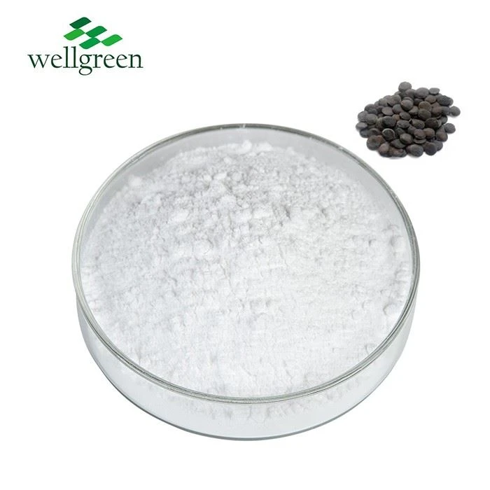 Griffonia Seed Extract